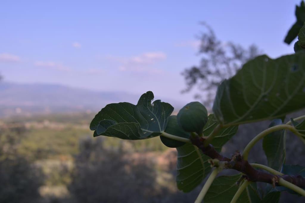 Monolocale, Letto Matrimoniale, La Cantina Vivajo Esterno foto