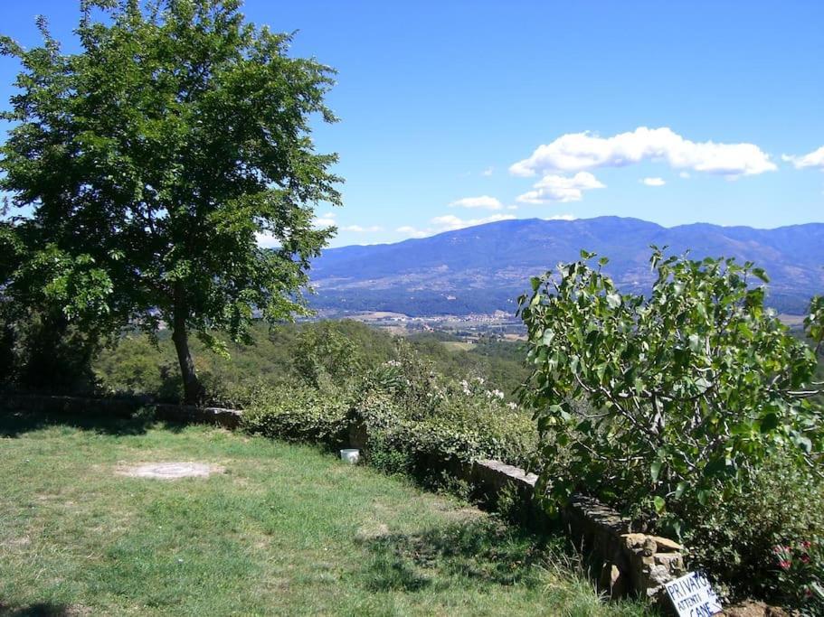 Monolocale, Letto Matrimoniale, La Cantina Vivajo Esterno foto