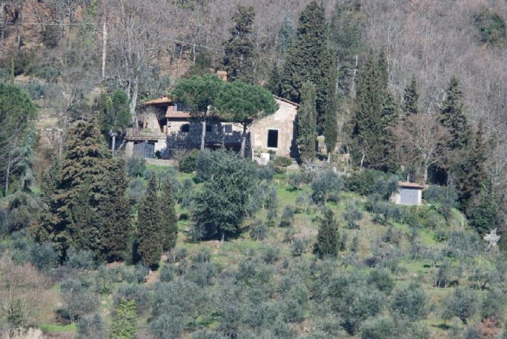 Monolocale, Letto Matrimoniale, La Cantina Vivajo Esterno foto