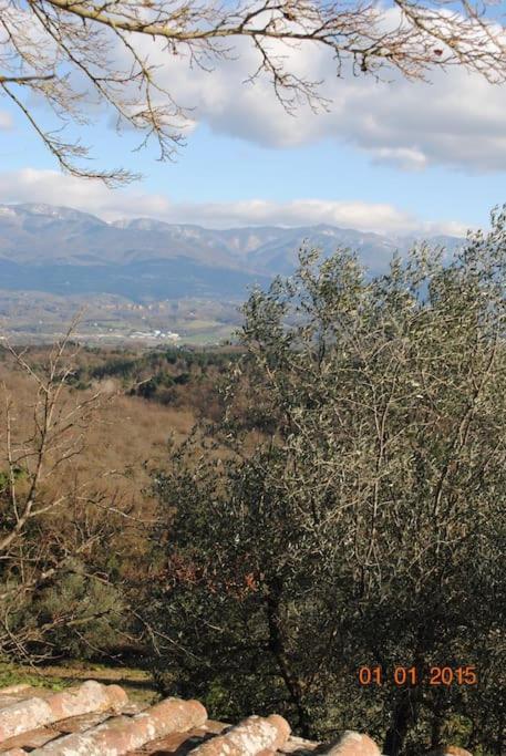 Monolocale, Letto Matrimoniale, La Cantina Vivajo Esterno foto