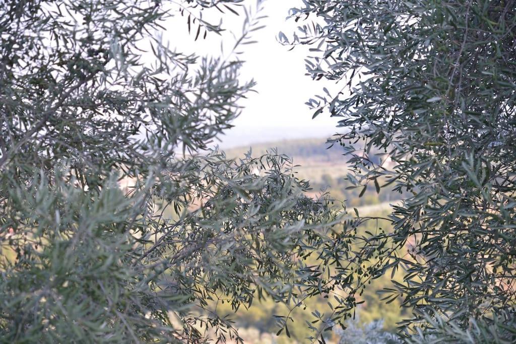 Monolocale, Letto Matrimoniale, La Cantina Vivajo Esterno foto