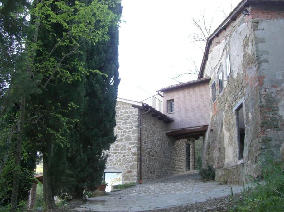 Monolocale, Letto Matrimoniale, La Cantina Vivajo Esterno foto